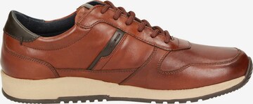 SIOUX Sneakers 'Rojaro-700' in Brown