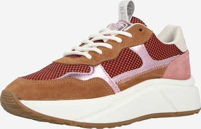 Sportbačiai be auliuko 'Starlyn' iš STEVE MADDEN, spalva – rusvai rausva / oranžinė / rožių spalva, Prekių apžvalga