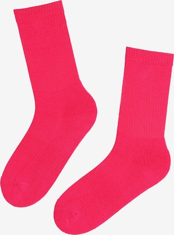 Sokisahtel - Calcetines ''Tennis'' en rosa: frente