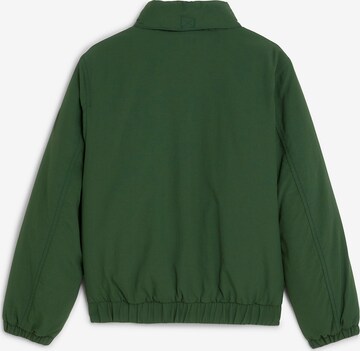 TOMMY HILFIGER Winter Jacket in Green