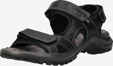Sandales de randonnée IGI&CO en noir : devant