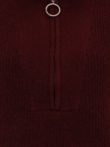 Noisy May Petite Pullover 'NEWALICE' in Rot