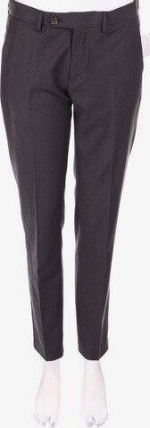 Sisley Pants in S-M in Grey: front