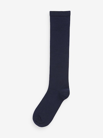 Gambaletto di Next in blu