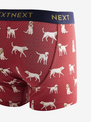 Boxers Next en mélange de couleurs