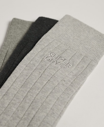 Superdry Socks in Mixed colors