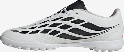 ADIDAS PERFORMANCE Jalkapallokengät 'PREDATOR CLUB' koossa 39-39,5 värissä vadelma / musta / valkoinen, Tuotenäkymä