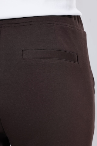 Ulla Popken Regular Hose in Braun