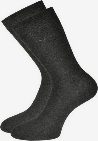 camano Socks in Grey: front