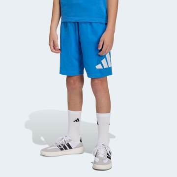 ADIDAS SPORTSWEAR Regular Pants 'Essentials' in Blue: front