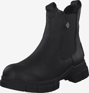 Ghete chelsea 'Nery Igloo B1' de la PANAMA JACK pe negru: față