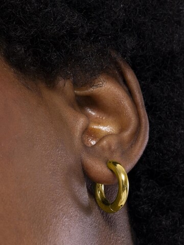 Luxenter Earrings 'Amyck' in Gold