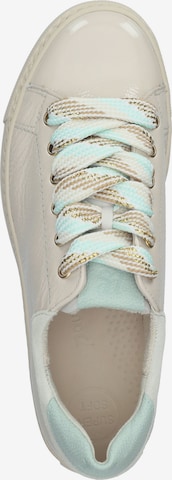 Paul Green Sneaker in Beige