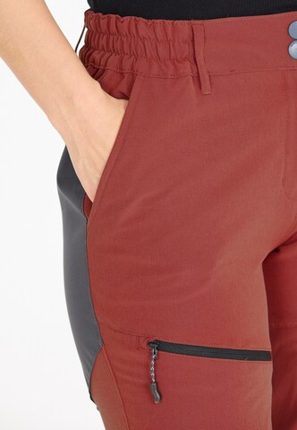Whistler Regular Outdoorhose 'Avatar' in Braun