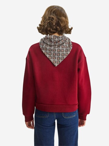 Bianco Lucci Sweatshirt in Red