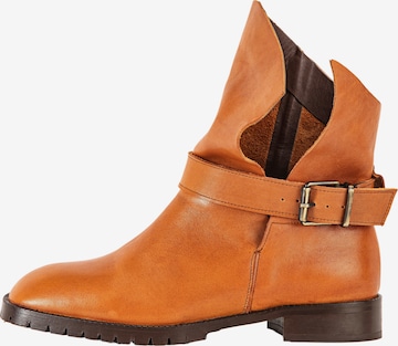 INUOVO Ankle Boots in Braun: predná strana