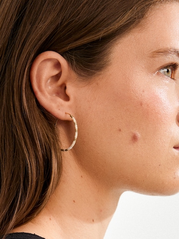 Pilgrim Náušnice 'Alison' - Zlatá