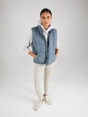 Noisy may Vest 'DALCON' in Blue