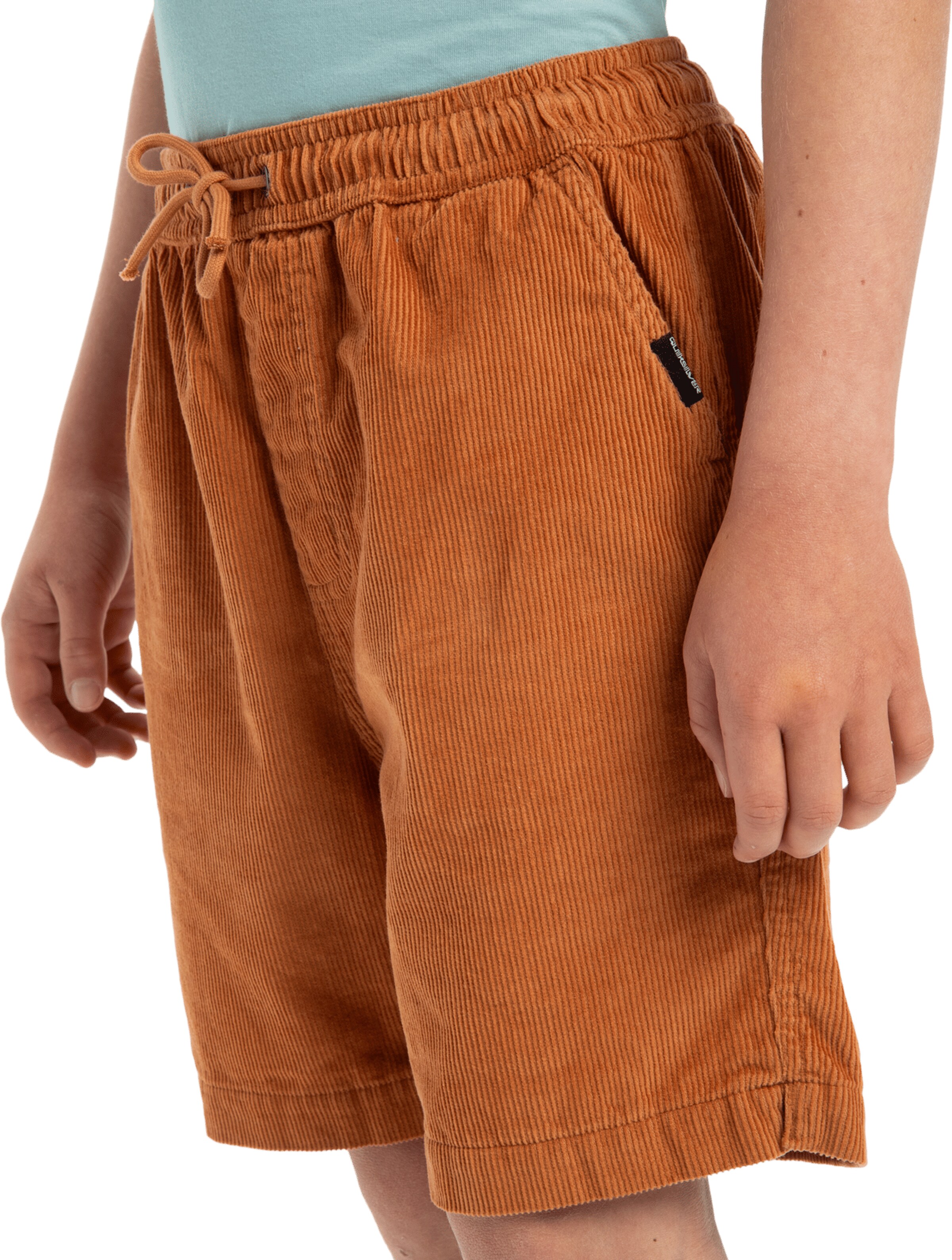 Regular Pantalon 'Taxer' QUIKSILVER en marron