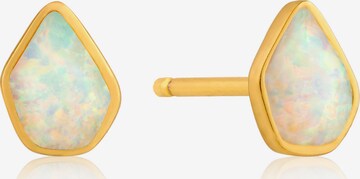 ANIA HAIE Earrings in Gold: front