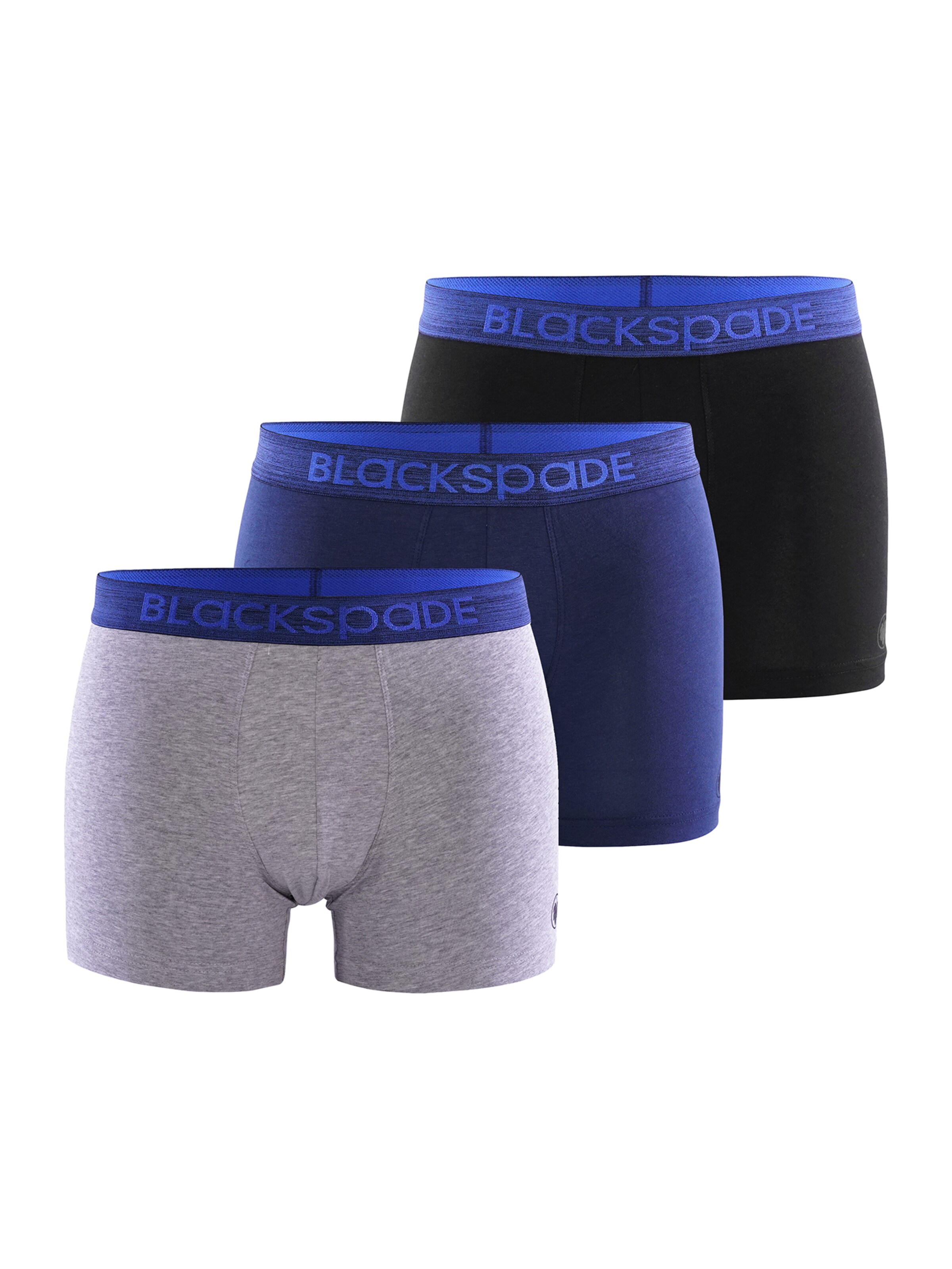 Blackspade Boxer shorts ' Modern Basics ' in Blue: front