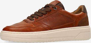 Baskets basses no stress en marron : devant
