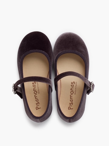 Pisamonas Ballerina‌‌‌‌ in Grau