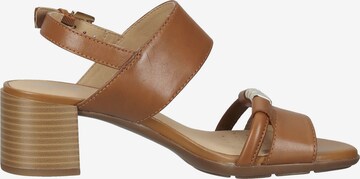 GEOX Sandalen met riem in Bruin