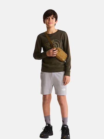 Regular Pantalon 'THE NORTH FACE kids TEEN SIMPLE DOME LT SHT PANTALOCINO' THE NORTH FACE en gris