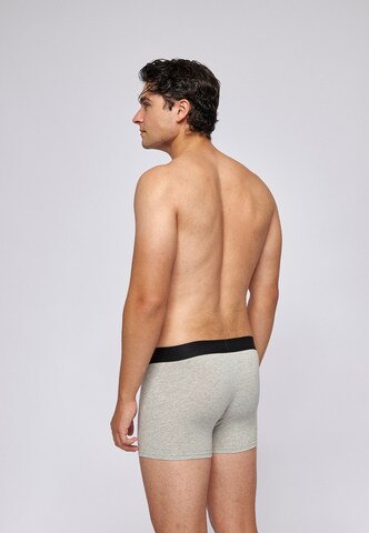 SNOCKS Boxershorts in Grau