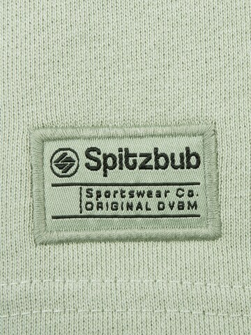 SPITZBUB Regular Pants 'Gunnar' in Green