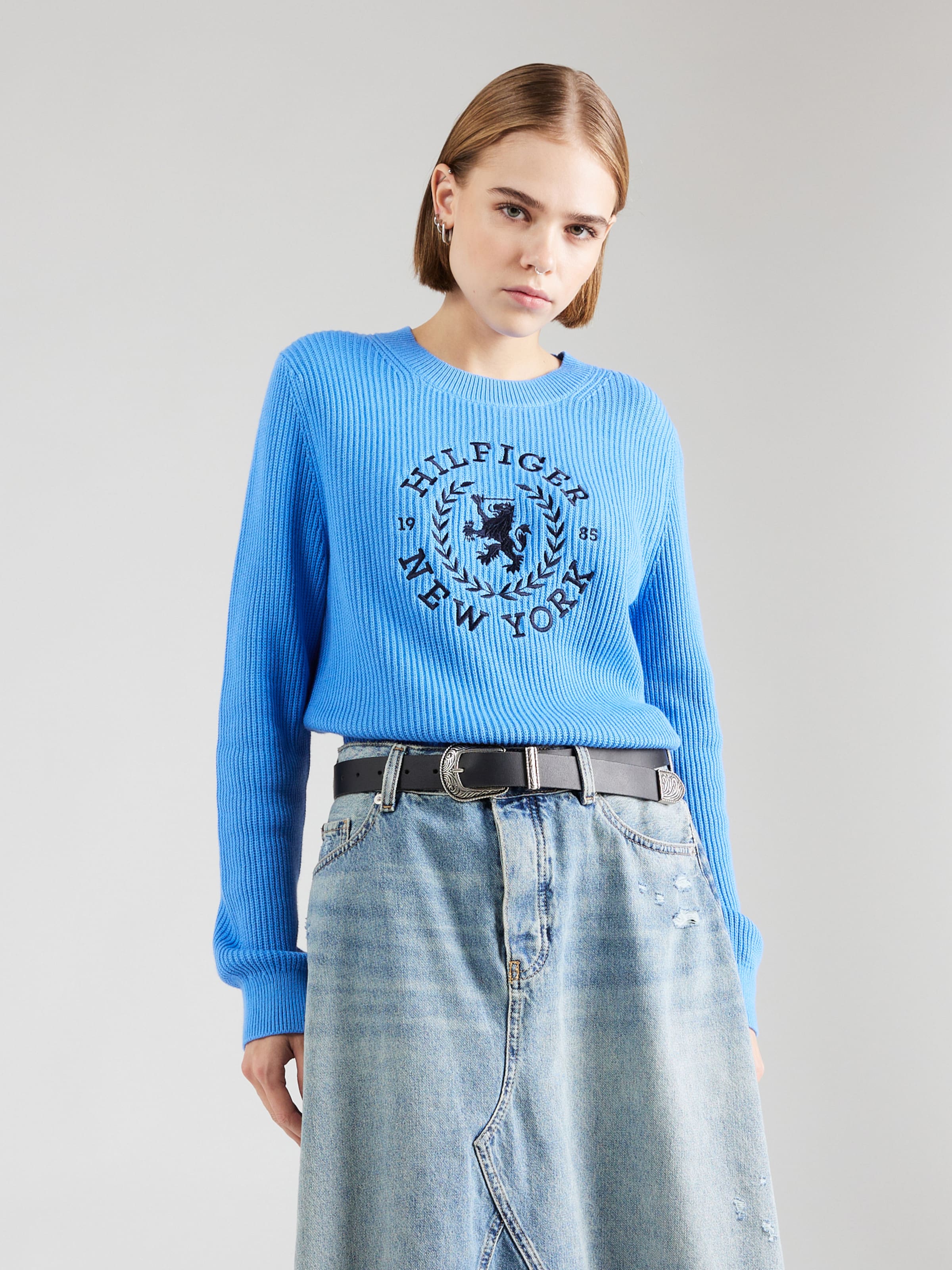 TOMMY HILFIGER Sweater in Navy Light Blue ABOUT YOU