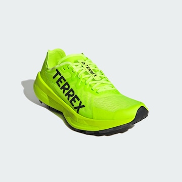 Chaussure basse 'Agravic Speed Trai' ADIDAS TERREX en vert