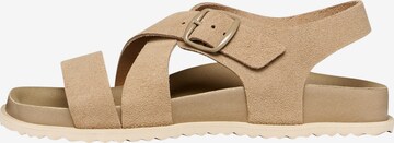 Sandalo di GEOX in beige: frontale