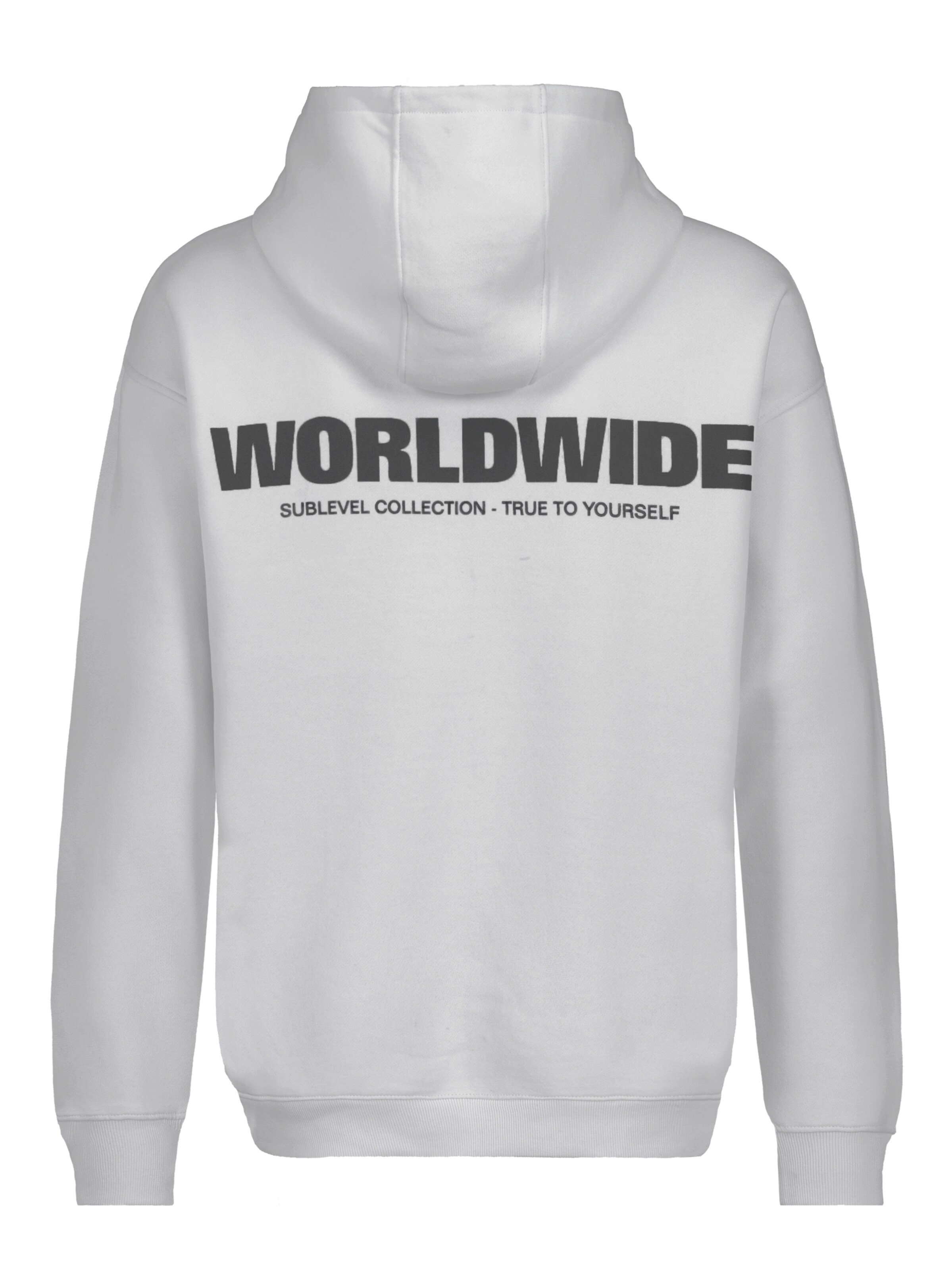 Sublevel Sweatshirt 'Worldwide' in Grey