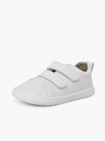 Pisamonas Sneakers in Wit: voorkant