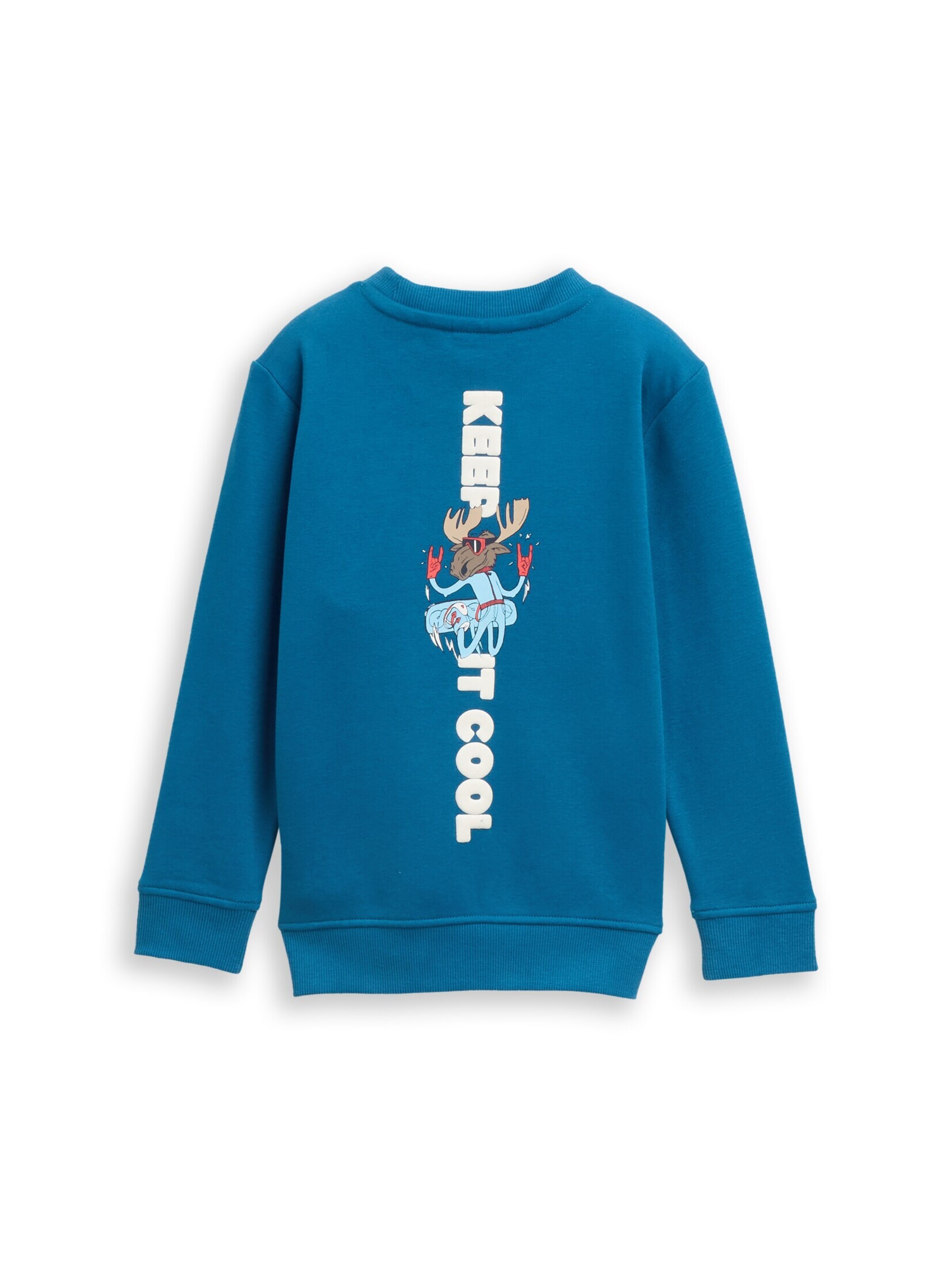 TOM TAILOR Sweatshirt in Blue