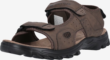 Whistler Sandals 'Hornsin' in Brown: front