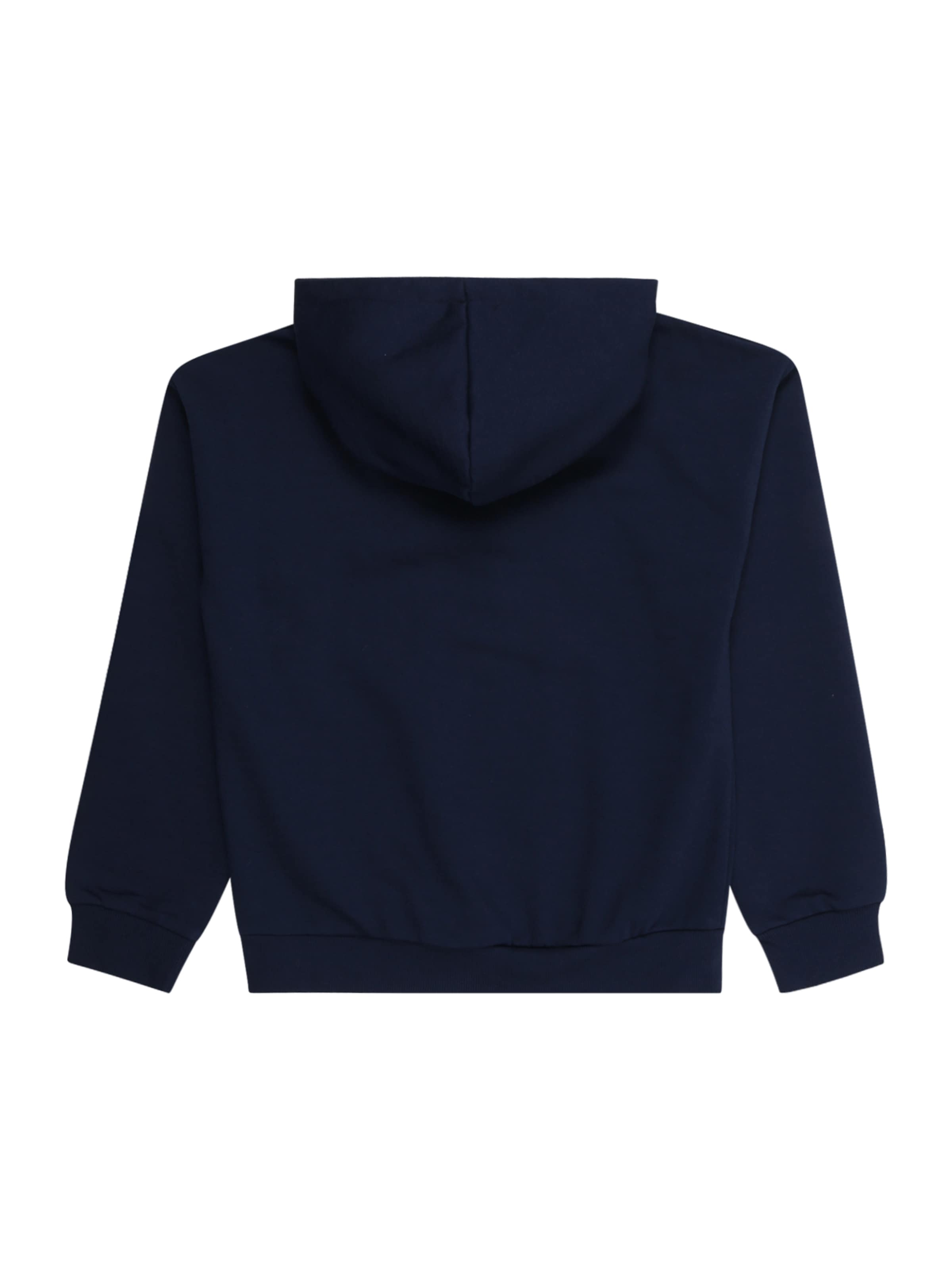 GUESS Sweatshirt in Blue