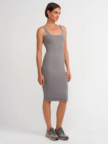 Robe Dilvin en gris