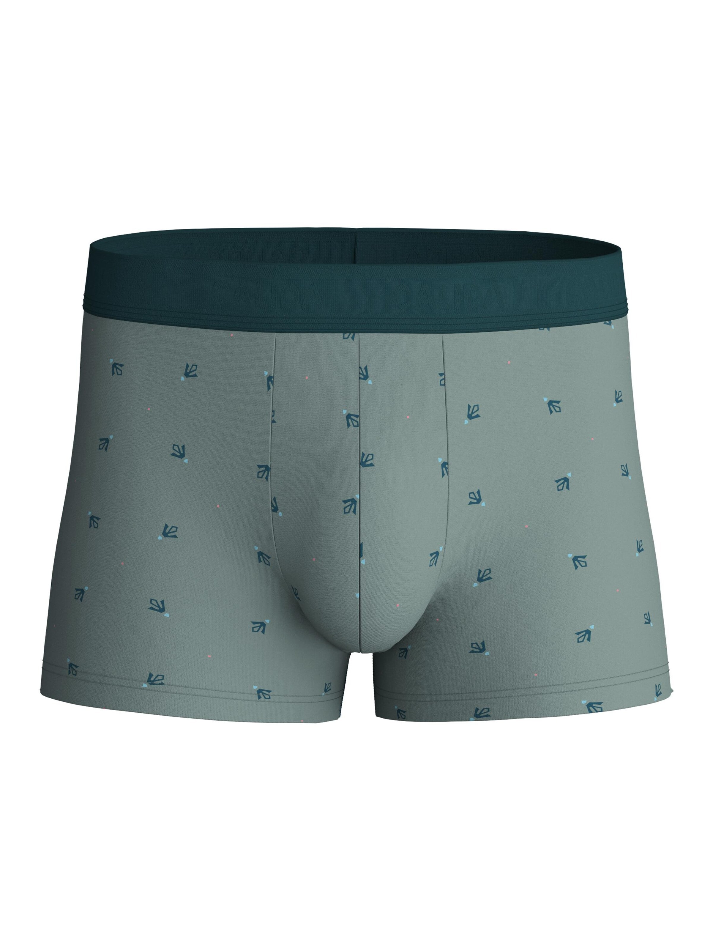 Boxer 'Grafic Cotton' di CALIDA in verde: frontale