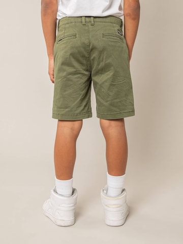 Regular Pantalon Deeluxe en vert
