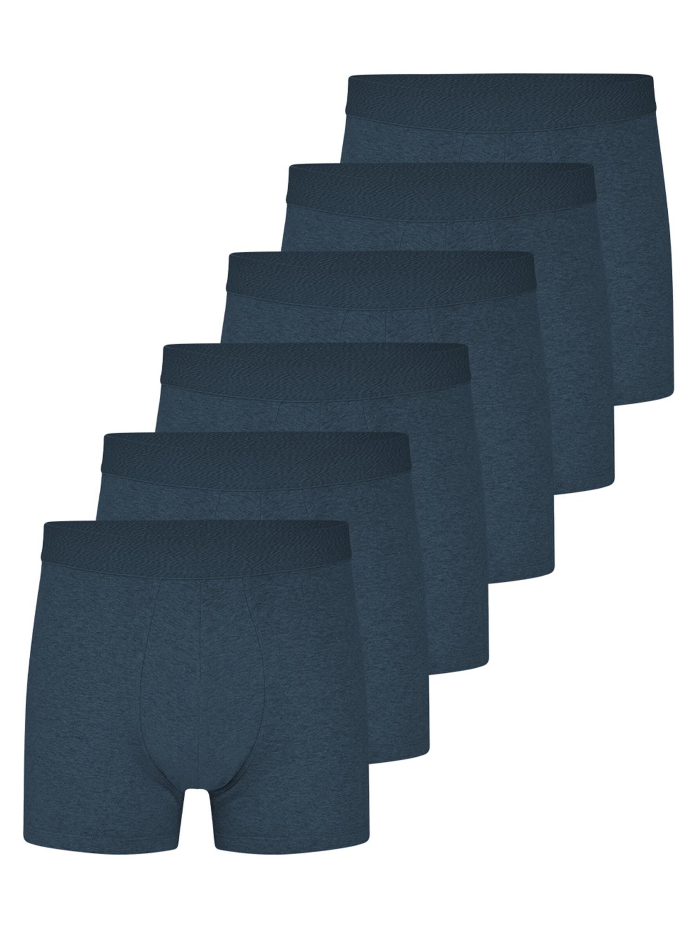 Almonu Boxer shorts 'Cotton - Melange' in Blue: front