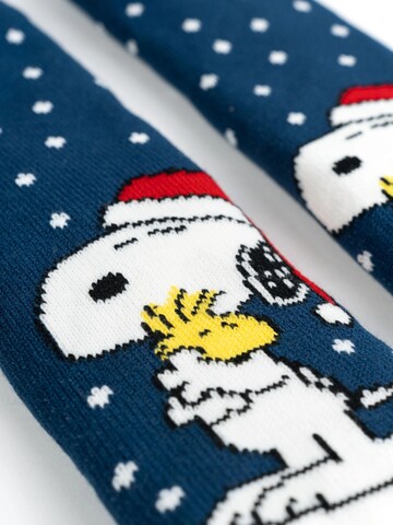 Snoopy & Die Peanuts Socks in Blue