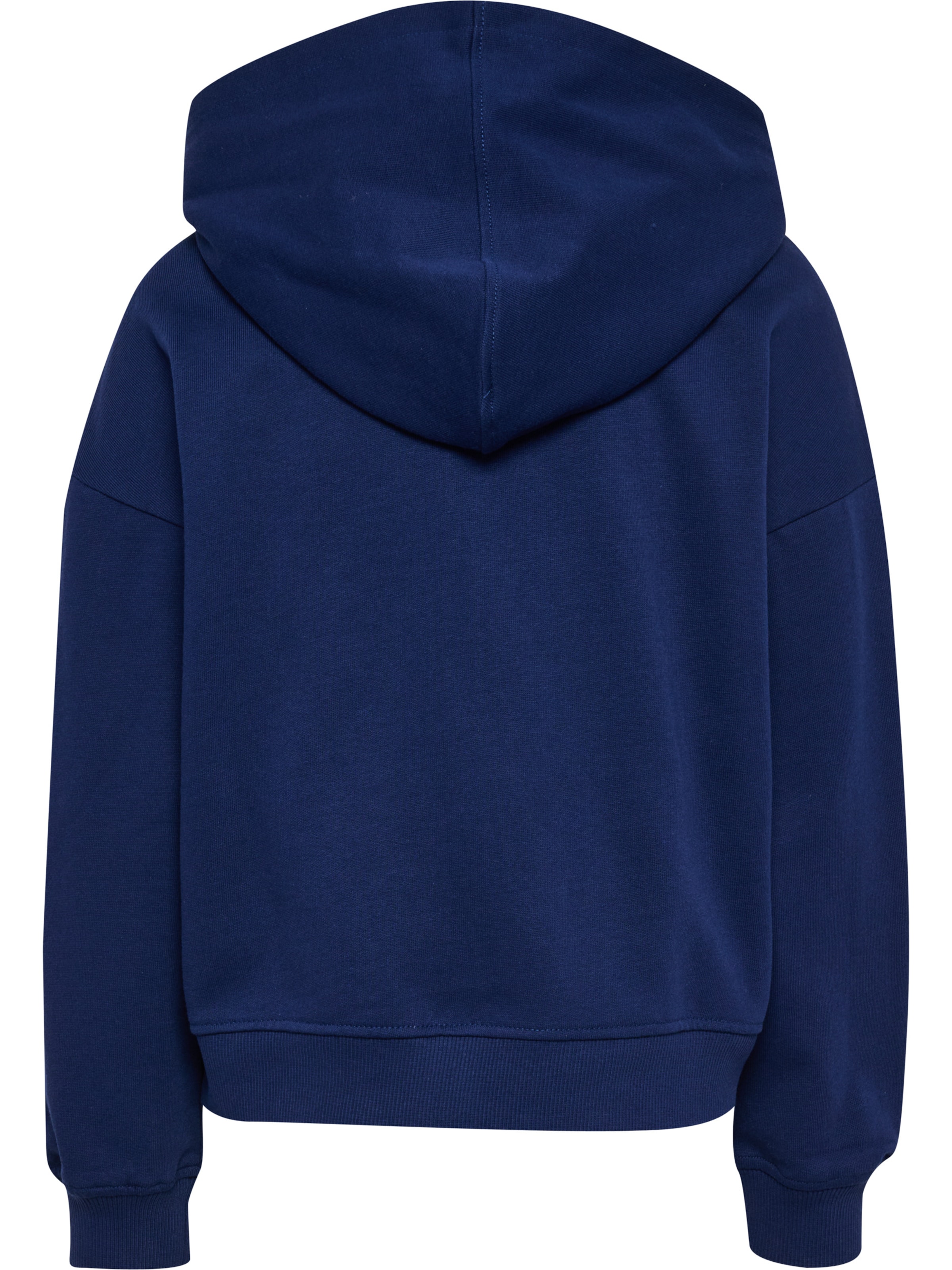 Hummel Zip-Up Hoodie in Blue