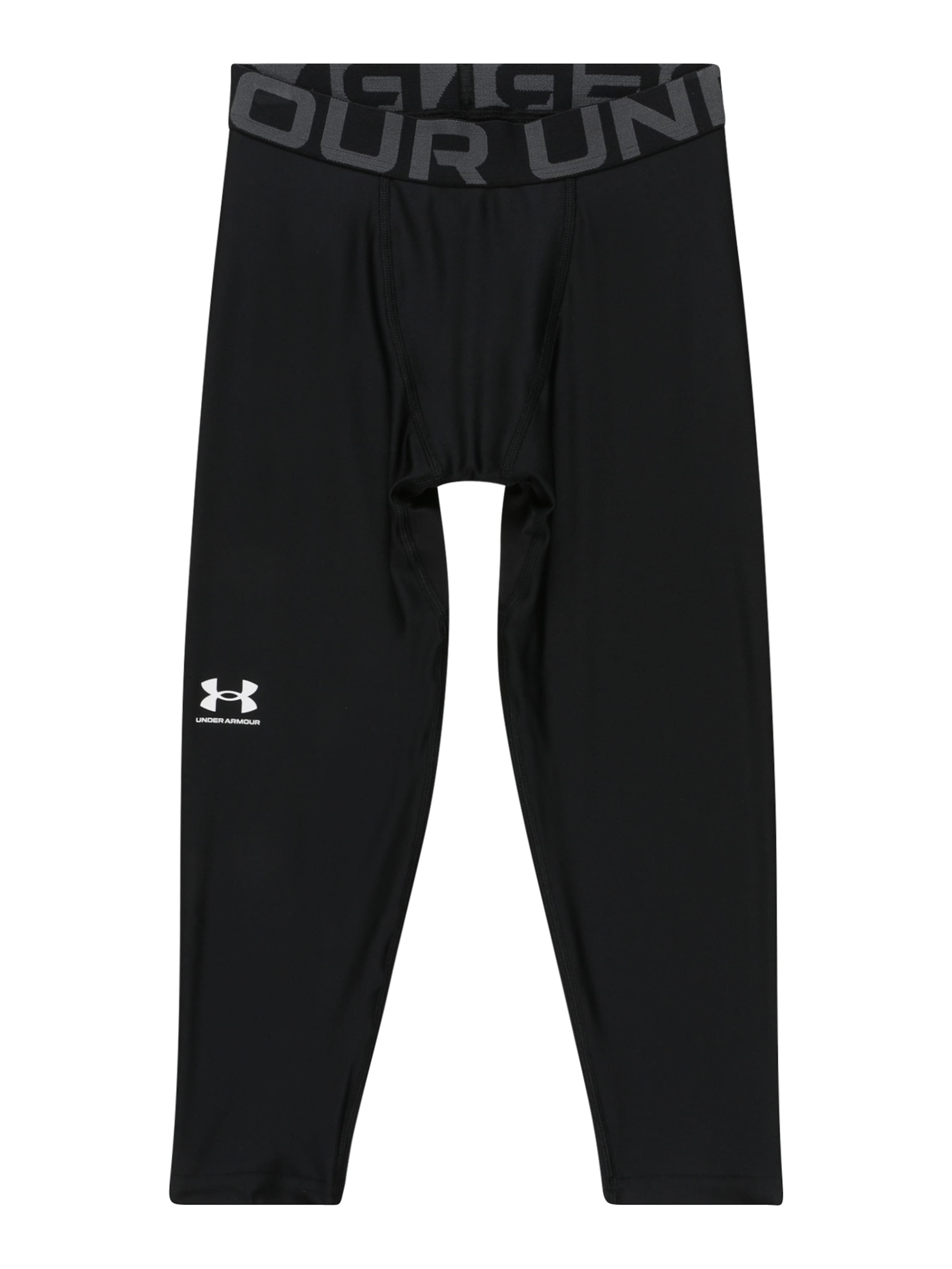 UNDER ARMOUR Regular Unterwäsche in Schwarz: Vorderseite