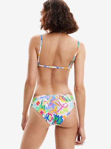 Desigual Dół bikini w kolorze mieszane kolory