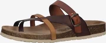 COSMOS COMFORT Mules in Brown: front