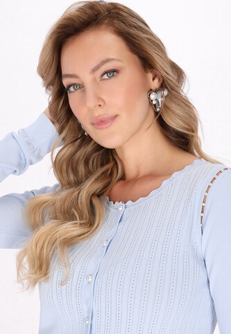 faina Gebreid vest in Blauw