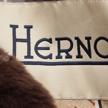 Herno Jacket & Coat in S in Brown